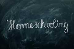 Kata Kak Seto tentang `homeschooling` saat ini